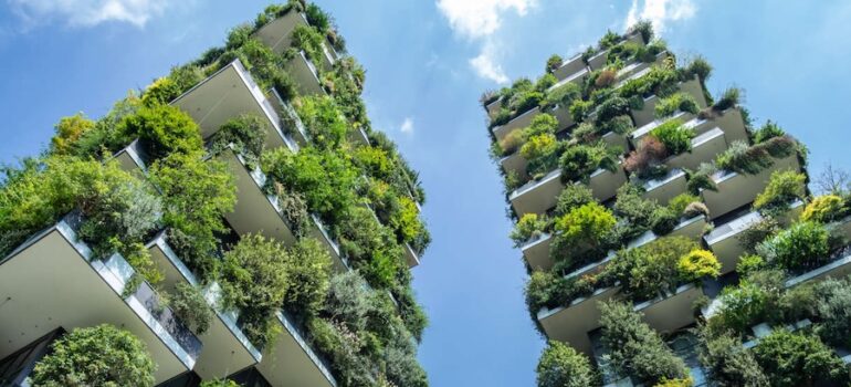 Biodiversità, un futuro per i boschi verticali